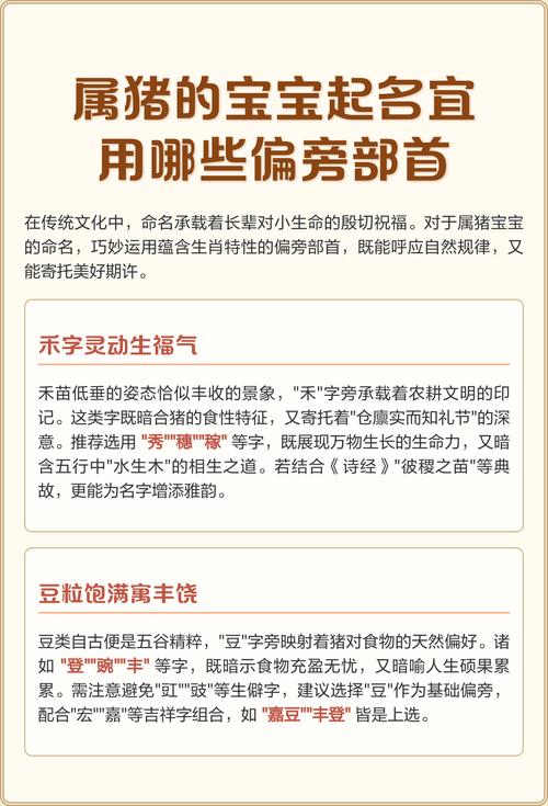 属猪男孩取名时有没有特别适合的偏旁部首推荐？