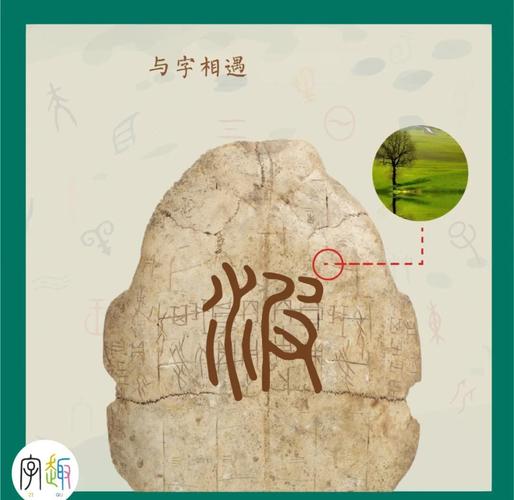 波的五行属什么生肖？这个名字中的波字又有什么特殊含义呢？