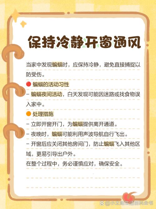 孕妇梦见蝙蝠飞进家里扑向自己有什么特殊预兆或含义？