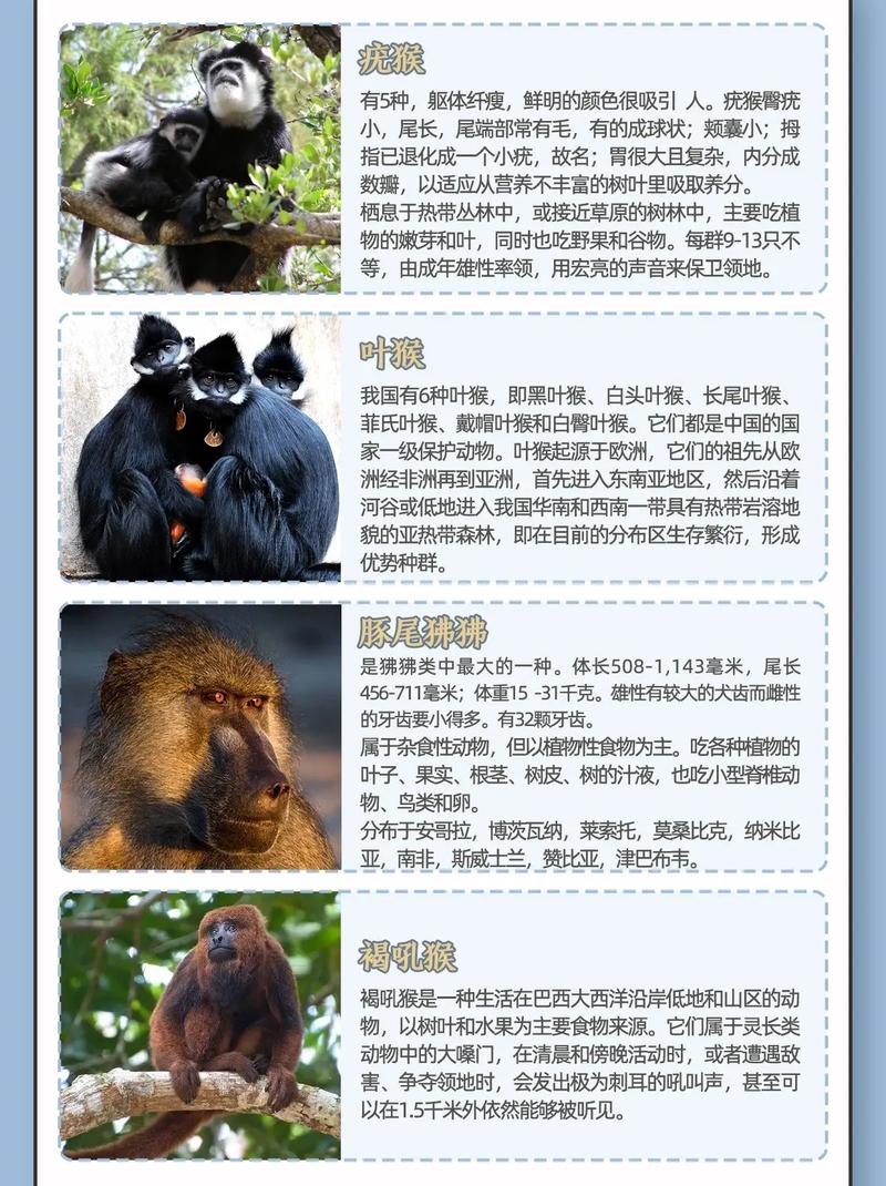 夏天最常见的动物是什么竟然是十二生肖中的这位？