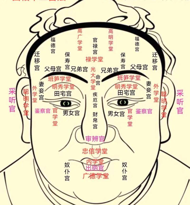 民间面相真髓(民间面相真髓大全)中者阝有哪些具体的面相解读方法？