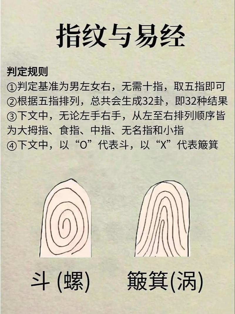 手指上的斗和簸箕分别代表什么含义？