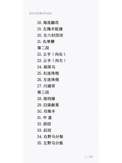 太极队起个什么名字既大气又好记呢？