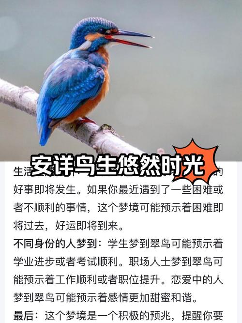 梦见自己徒手抓住一只鸟，这预示着什么？周公解梦有何寓意？