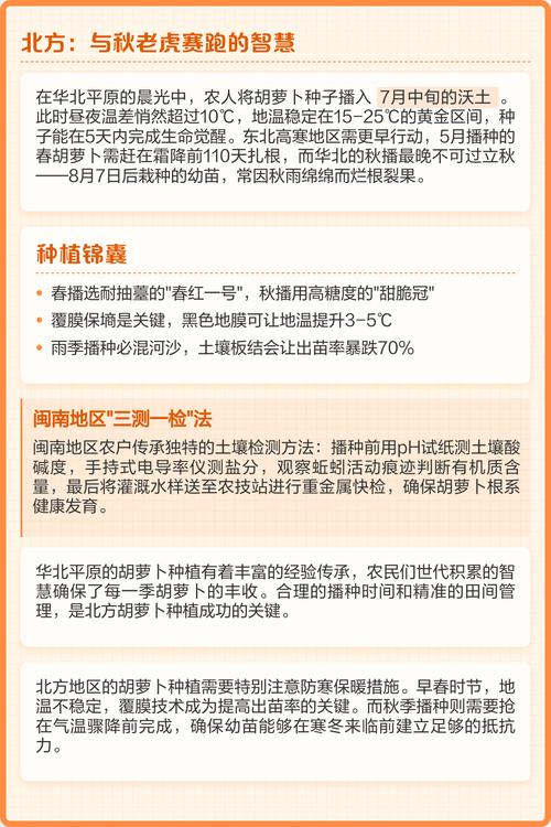 黄金胡萝卜的寓意是什么它代表了怎样的生活哲学或价值观？
