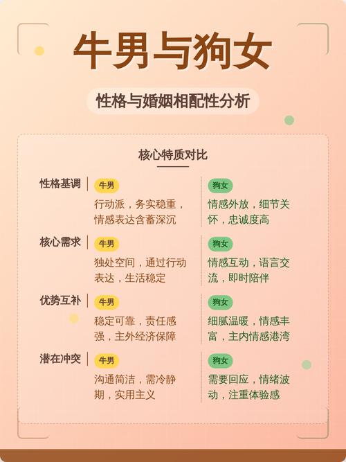 生肖狗女和生肖牛男相配吗？他们的属相合不合？