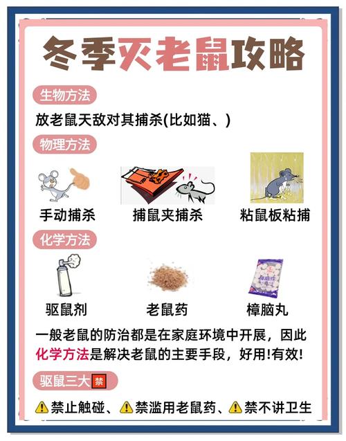 如何彻底根除家里老鼠，确保不再有老鼠入侵？