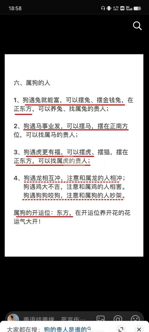 生肖兔与属狗的结合，财运方面是否相得益彰呢？