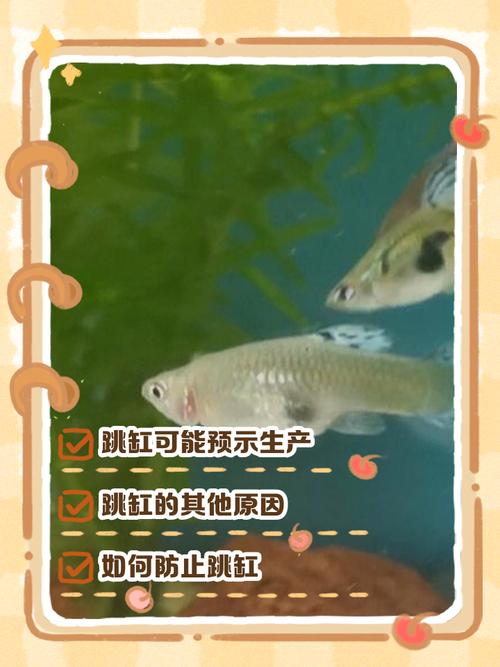 梦见自家的鱼从鱼缸里跳出来这究竟预示着什么深层的寓意呢？