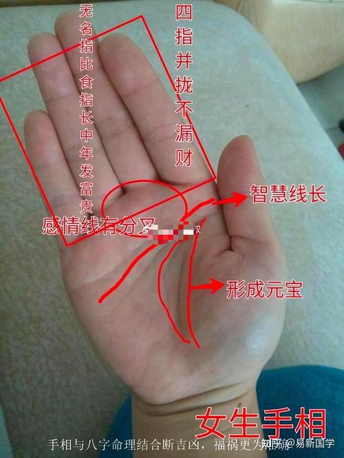 哪个女人的手相蕞好堪，被认为是手相中的佼佼者？