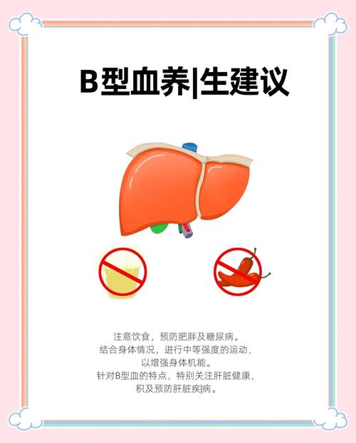 B型血有哪些健康优势与劣势，如何影响日常生活？