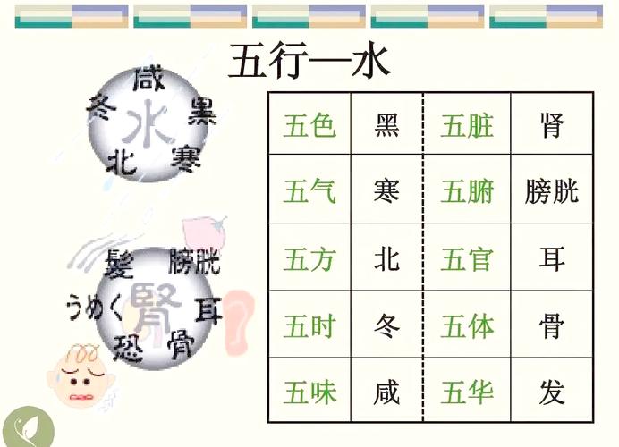 五行不缺的男人中，水命的男人性格特点有哪些？