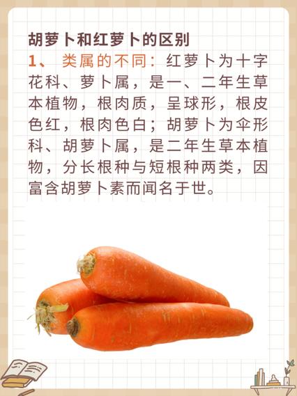 萝卜和爱吃胡萝卜的人分别属于哪个生肖？