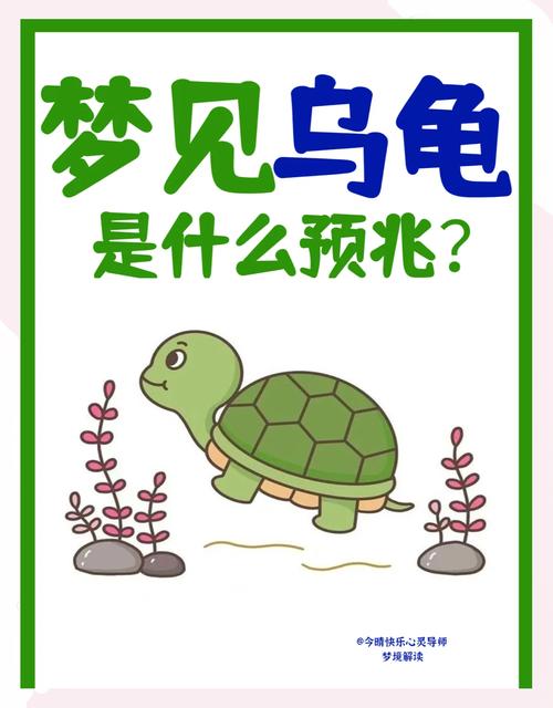 中年以婚女人梦见乌龟，这预示着什么吉祥或不幸的征兆呢？