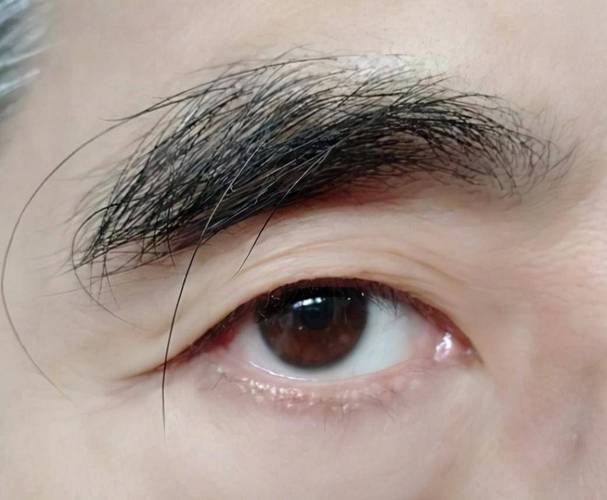 右眼眉毛一根特别长，这运势会怎样呢？