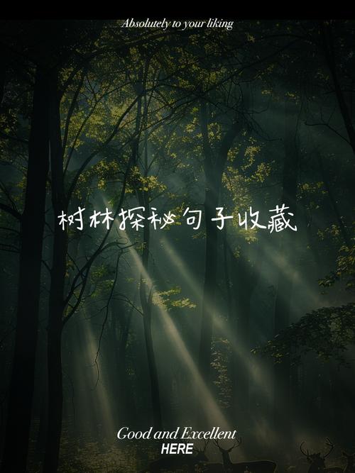 梦见自己在森林里漫步，这究竟预示着什么含义呢？
