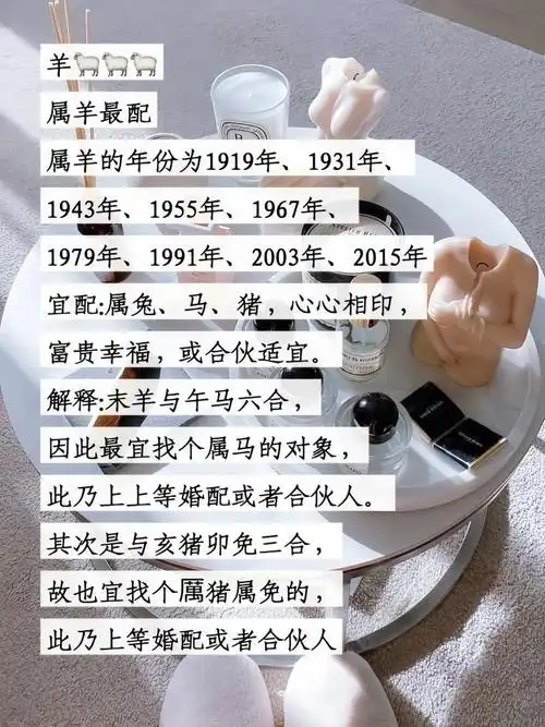 属猪和属牛的财运搭配是否合适？