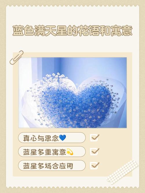 蓝色满天星究竟象征着什么深层寓意？