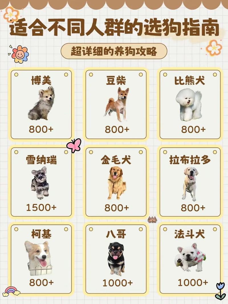 属狗的人最适合养哪些犬种作为宠物呢？