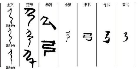 弓字五行究竟属于什么难道不是属木吗？