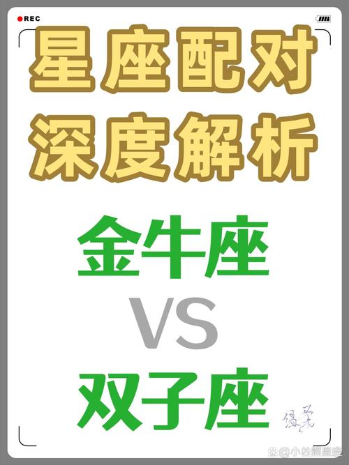 521号星座是金牛和双子交界处，这个星座具体是哪个呢？