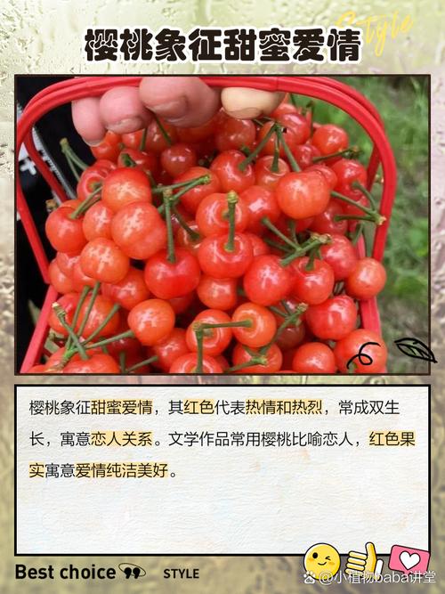 梦见自己摘樱桃是什么征兆或含义？