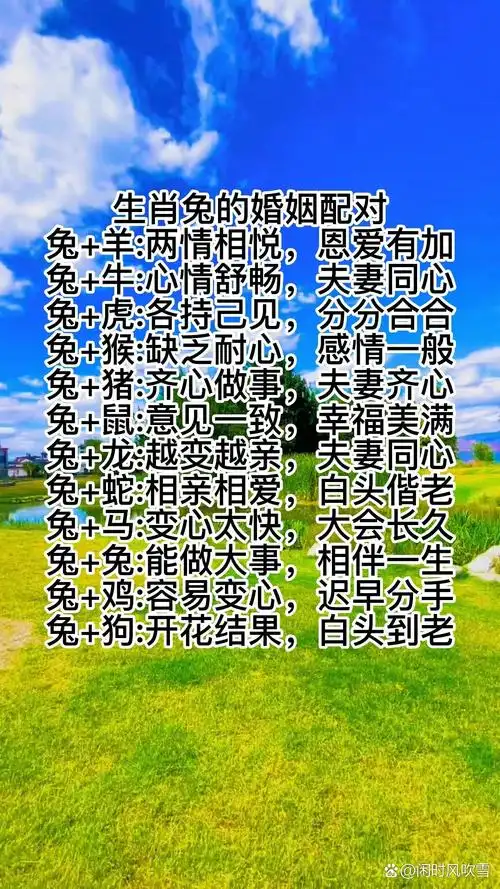 属兔女和哪个属相最匹配，是最佳的婚姻伴侣呢？