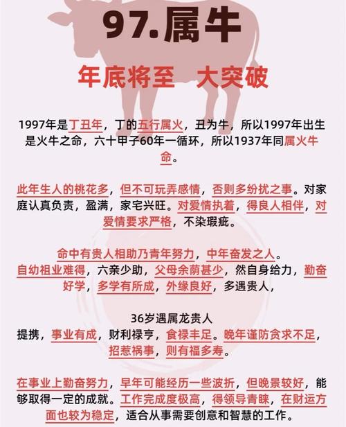 1997年出生属牛的男性命运究竟如何，是不是很幸运？