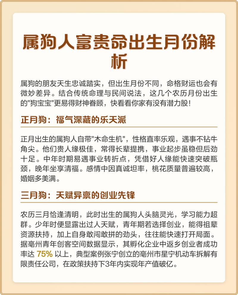 属狗人八点四十出生的命理运势如何？