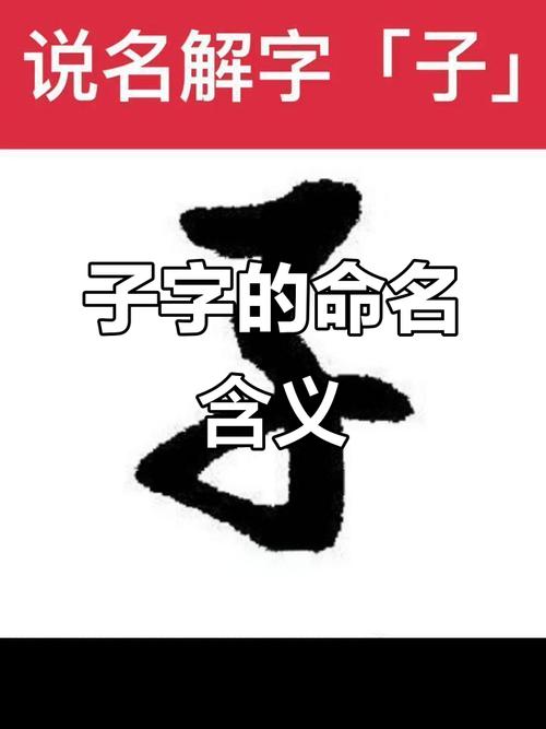 子字在五行中属于哪一行？其取名寓意和含义是什么？