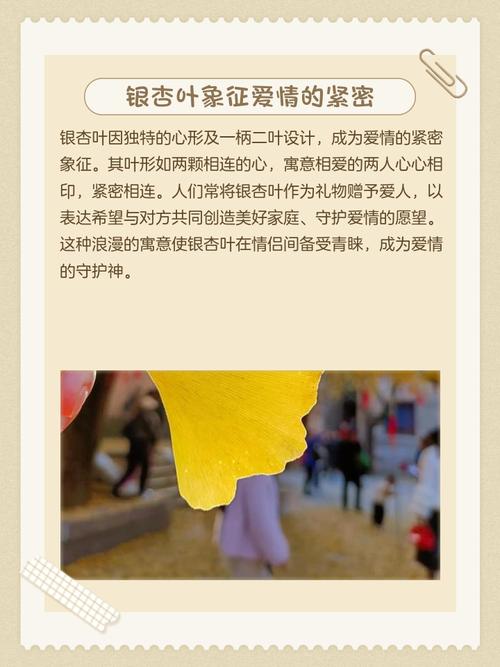 叶子在文化中有什么寓意和象征意义？
