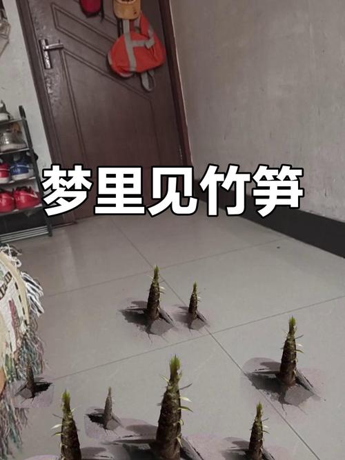 梦见春笋预示着什么吉凶？有什么特殊含义？