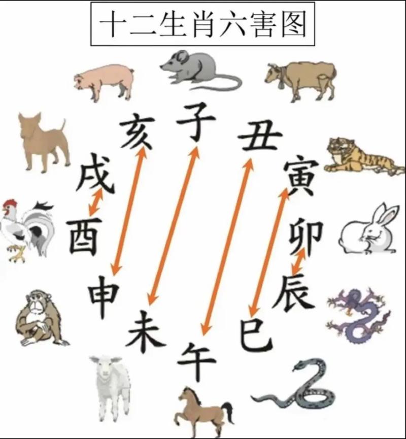吵架后哪个生肖会快速认错？