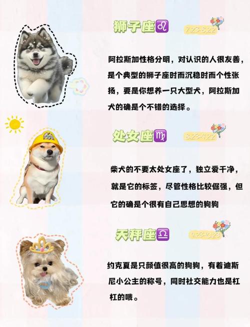 如何与摩羯座属狗的人和谐相处？