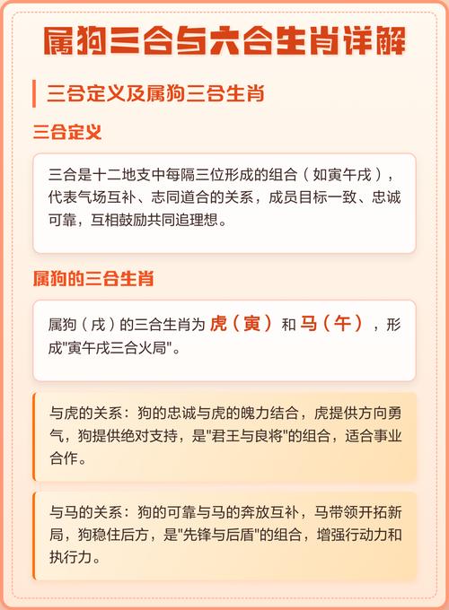 属狗的人最适合和哪些生肖合作？这样的事业伙伴关系会怎样？