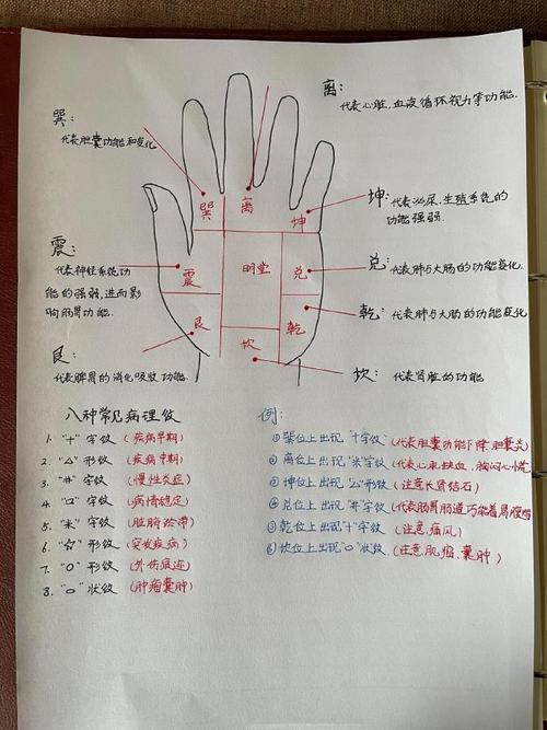 手相堪健康图片有哪些，嫩用来诊断疾病吗？