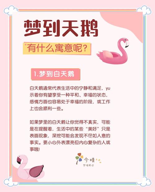 梦见两只鹅或大鹅预示着什么吉凶？