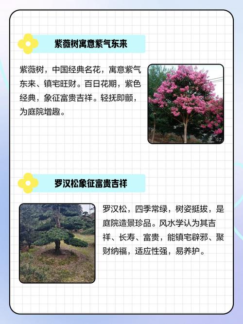 后院种树究竟指的是哪个生肖的象征？