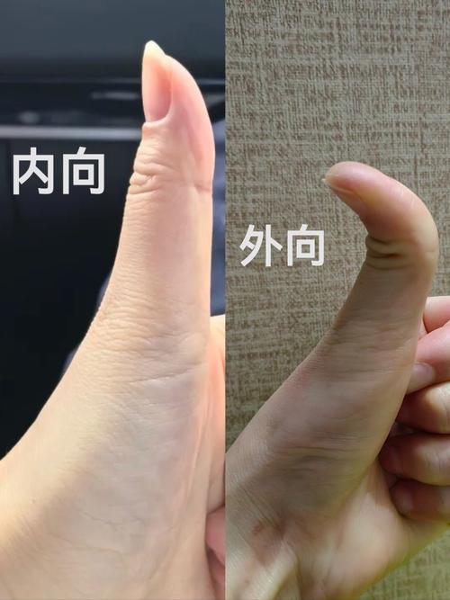 从拇指指节如何判断一个人的性格特点？