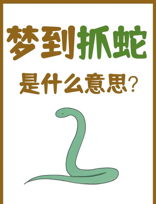 梦见老公抓蛇的征兆预示着什么？是吉是凶？