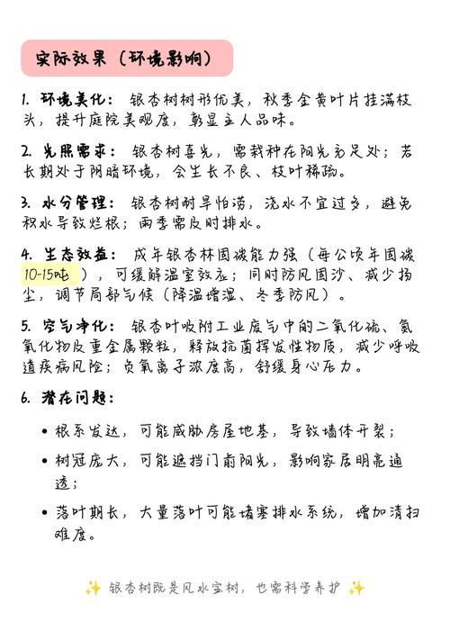 家中有银杏树对风水有怎样的影响或好处？