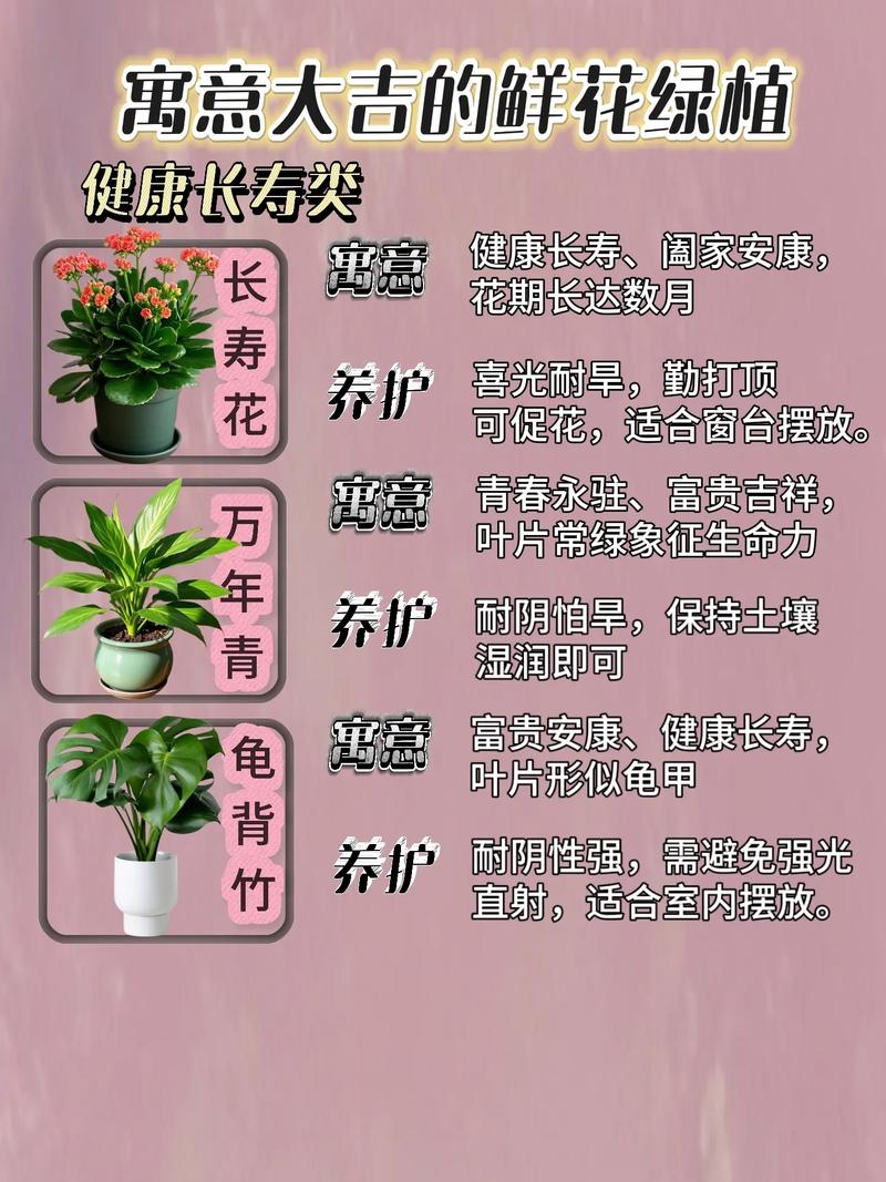 梦见种植花草预示着什么吉凶？