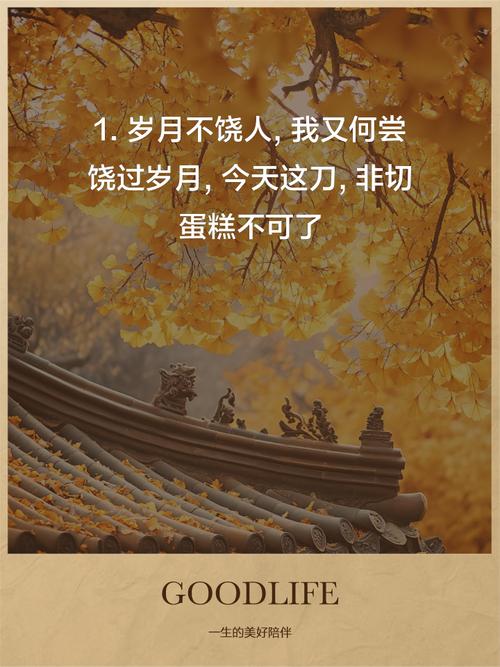2月14日生日的人，是不是经常遭遇冷嘲热讽呢？