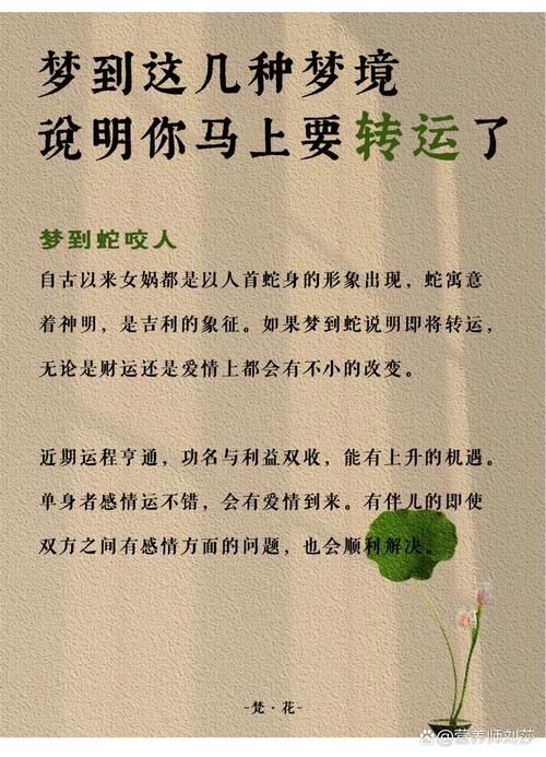 梦见比赛预示着什么？是好运还是挑战？