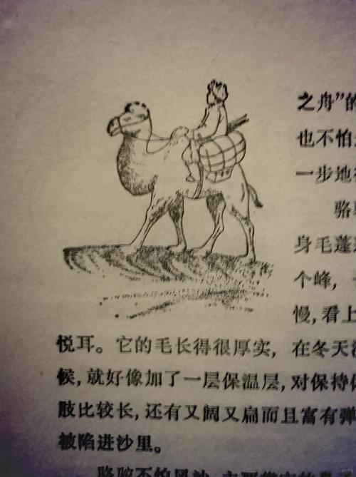 澳门最准的四不像资料库里有没有最准确的预测结果？