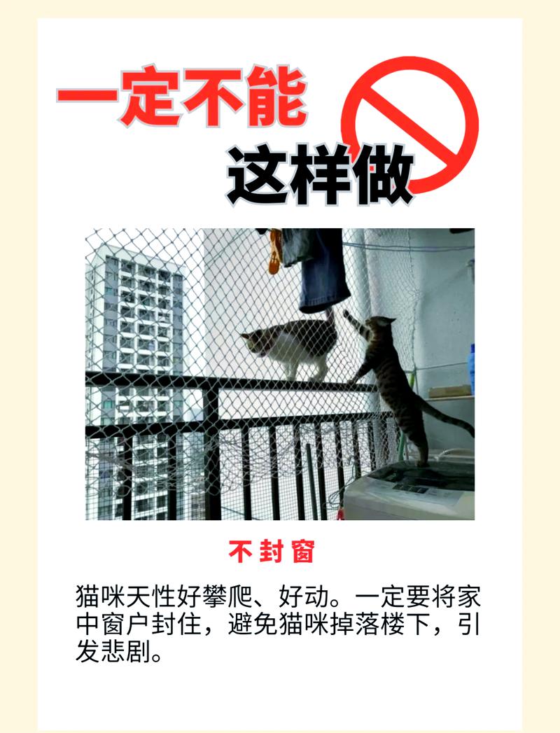 养猫真的能驱鬼吗？为什么民间有养猫防鬼的说法？