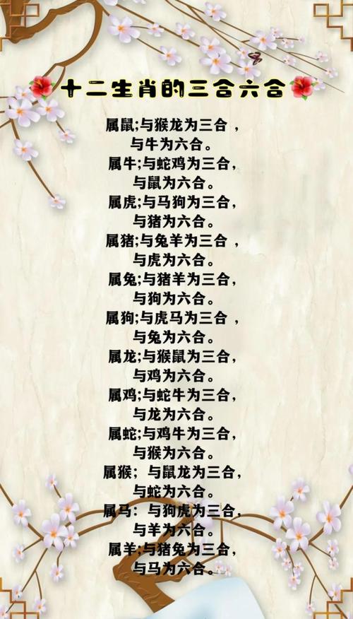 属龙和属鼠的人中，哪个性别与属猪的人蕞匹配？