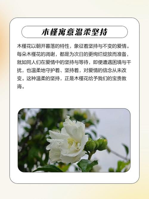 梦见树上开满鲜花预示着什么吉凶？