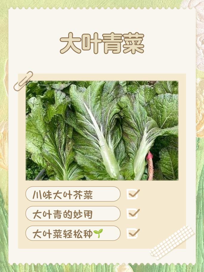 女人梦见很多青菜是什么吉凶预兆？