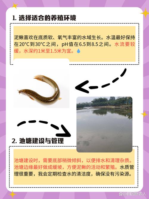 女人梦见泥鳅是什么寓意，周公解梦中有何解释？